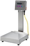 Mettler Toledo SpeedWeigh Bench Scale